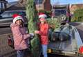 Scouts sell and recycle Christmas trees to raise money