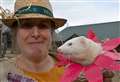 Ferrets in fancy dress among those turning on style at show