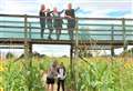 Giant maize maze is in shape of sea turtle