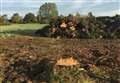 Dismay over loss of trees making way for new homes 
