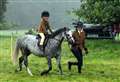 Downpours fail to dampen Moulton Park show enthusiasm