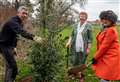 Oaks planted for Queen's Green Canopy initiative