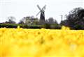 Have a party at UK’s tallest windmill 