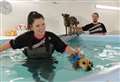 Giving pets a new lease of life