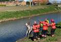 Horse rescued from river by firefighters after being spooked