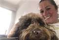 Places available on first aid training course for pet emergencies 