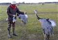 Rhea has been 'driven home for Christmas' 
