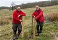 ‘Intense’ five-year project sees estate’s East Avenue restored to a full compliment of trees for the first time in more than a century