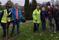 Rotary Club plants 25 trees in popular park