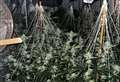 Two arrested after cannabis is discovered in drugs raid