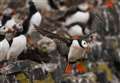 See these brilliant animal pictures from 2022