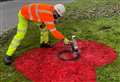 Giant poppies painted on roundabouts ahead of Remembrance Day