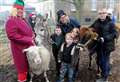 Christmas events got us in a festive feelgood mood