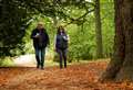 6 stunning autumn walks to try at National Trust sites