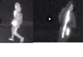 CCTV captures night-time prowler who stole from cars in Great Gonerby near Grantham