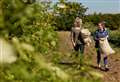 Belvoir Farm calling on local community to make 2025 the biggest harvest ever