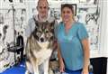 Dog groomer offers spa treatments and teeth cleaning at new salon
