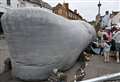 Whale exhibit draws hundreds to town centre for marine conservation event