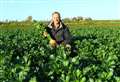 Surge in sales for ‘ugliest vegetable’ thanks to Mary Berry