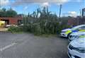 Close call for police with tree nearly hitting vehicles as Storm Lilian gusts hit county