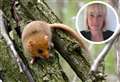 ‘Help save the dormice’