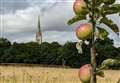 Official opening announced for Heroes Orchard 