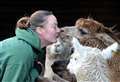 Farm braced to host series of summer events