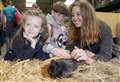 ANIMAL MAGIC: What about an Easter guinea pig?