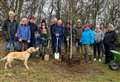 Tree planted in honour of Queen