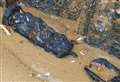 Unexploded bomb discovery prompts warning to beachgoers
