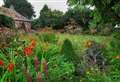Special open garden fundraiser
