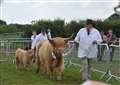 Come and get involved in the county show