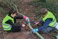 Children get back to nature at forest school