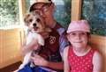 Family’s warning after dog Pippin put to sleep after attack