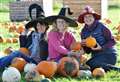 Pumpkin picking season returns