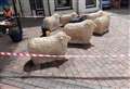Sheep statues and town centre given spruce up