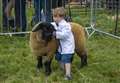 Photo special: Rutland County Show
