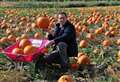 Details announced for pumpkin picking season