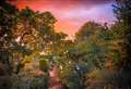 Photography from around the world goes on display