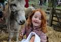 Crowds drawn to festive fair