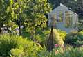 From cutting edge to cottage garden - village hosts open gardens event