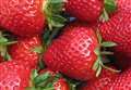 British-grown strawberries and apples risk extinction 