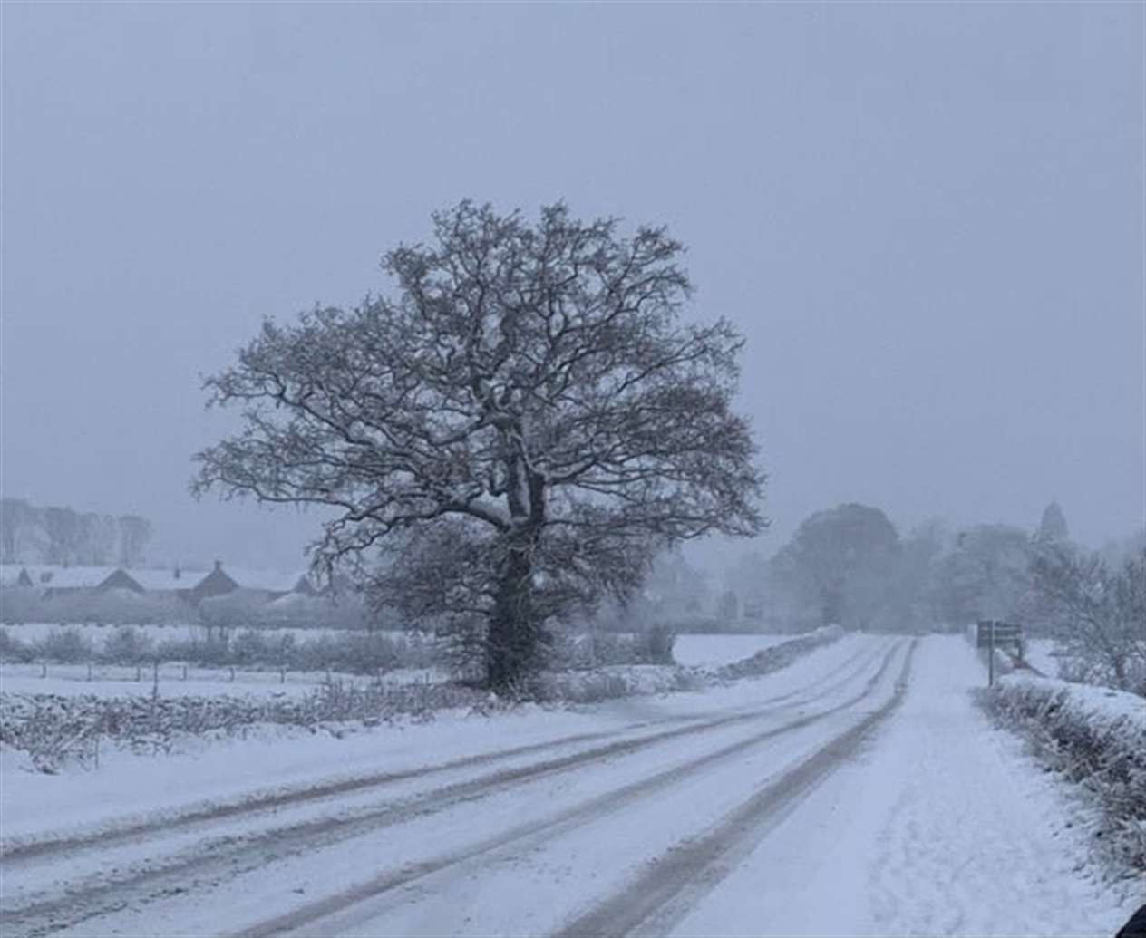 Robin Jones was photographing scenes in Baston (44086970)