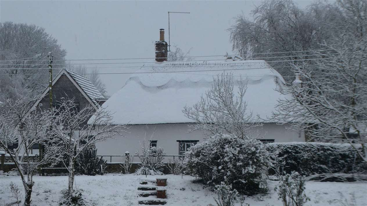 Robin Jones was photographing scenes in Baston (44086879)