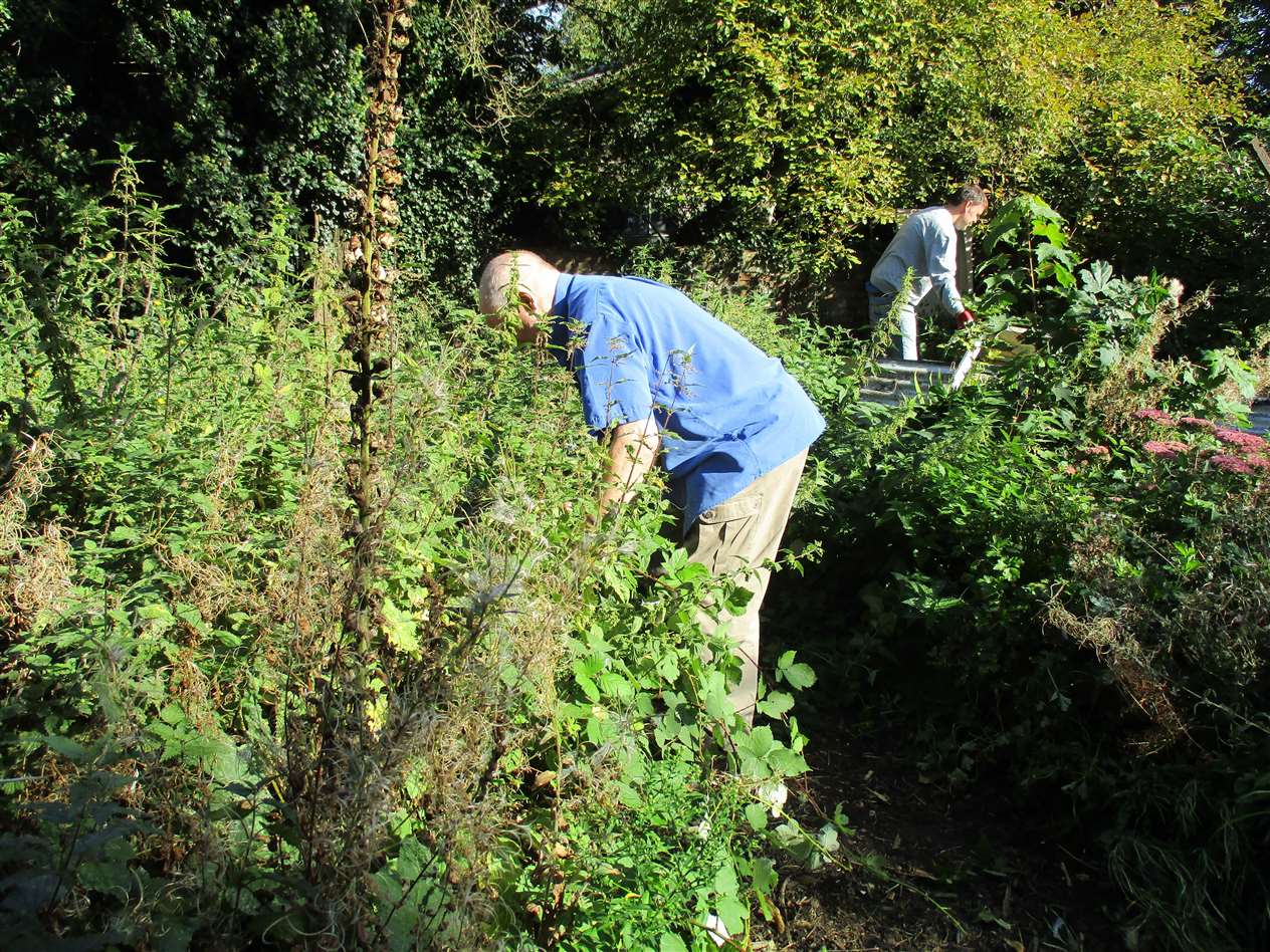 Work is going on in the Don't Lose Hope garden