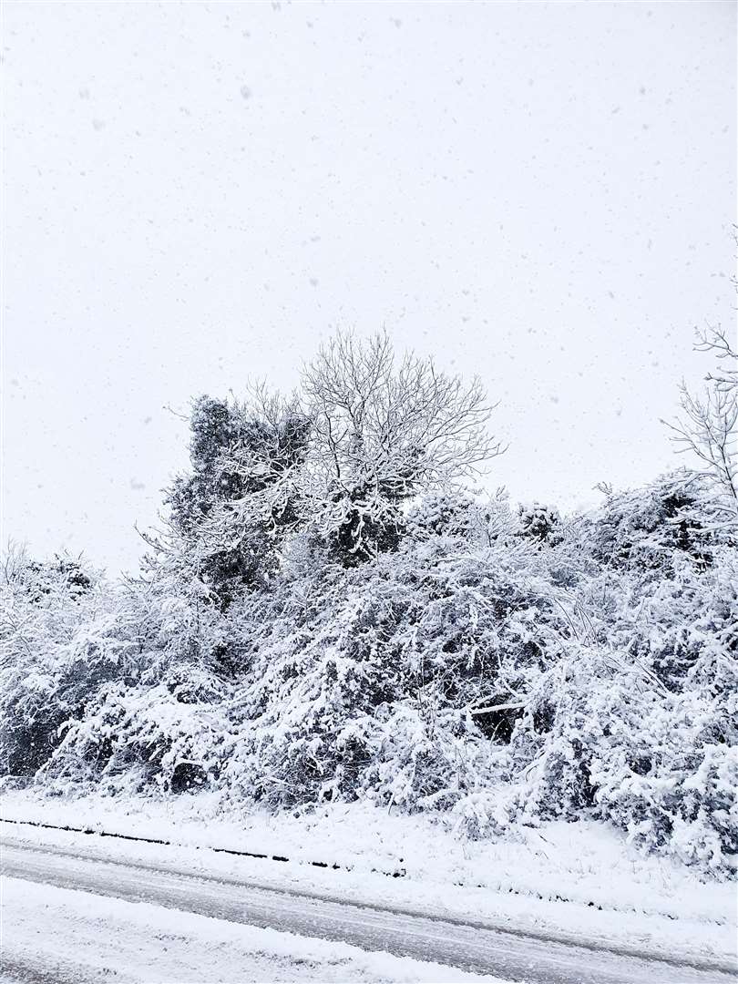 Marynn Vanderbild took this photo in Stamford (44087033)
