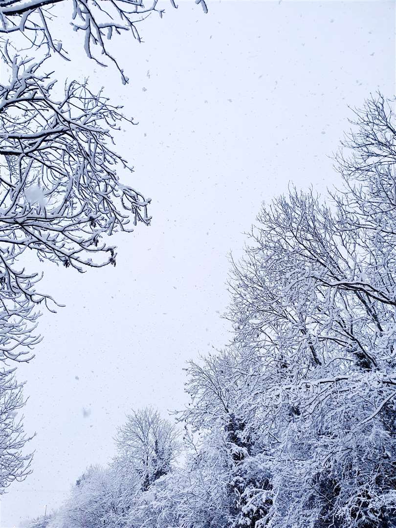 Marynn Vanderbild took this photo in Stamford (44087035)