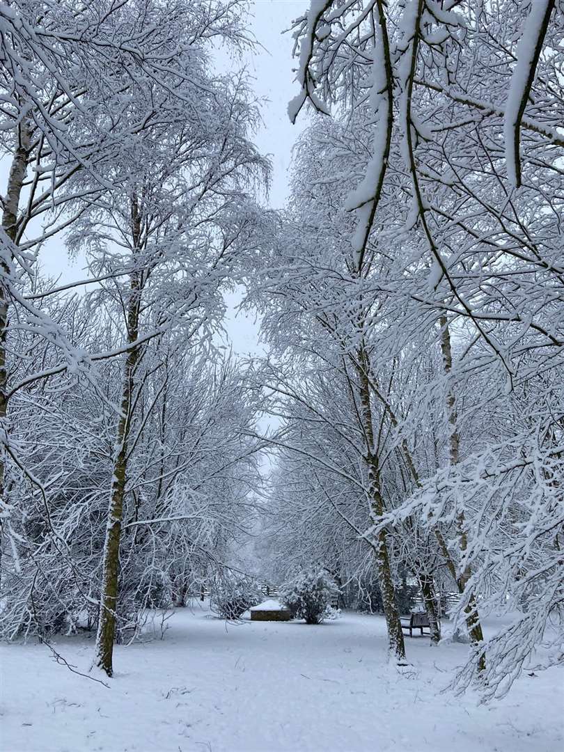 Lucy Fleming took this photo in Stamford (44086921)
