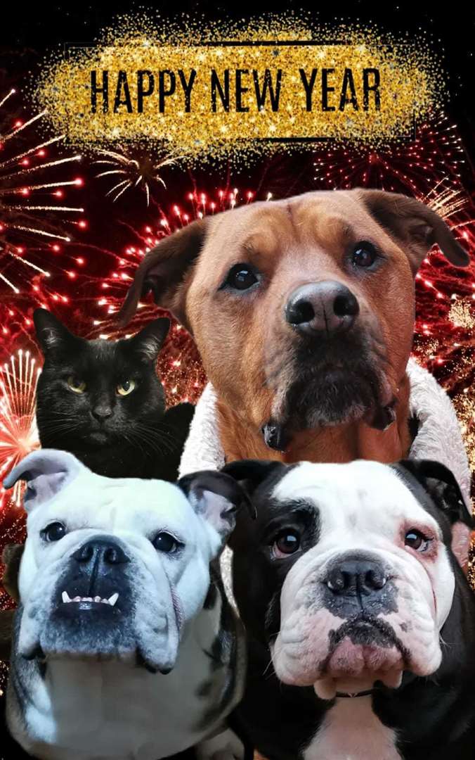 Jade Parr shared some furry friends (43814888)
