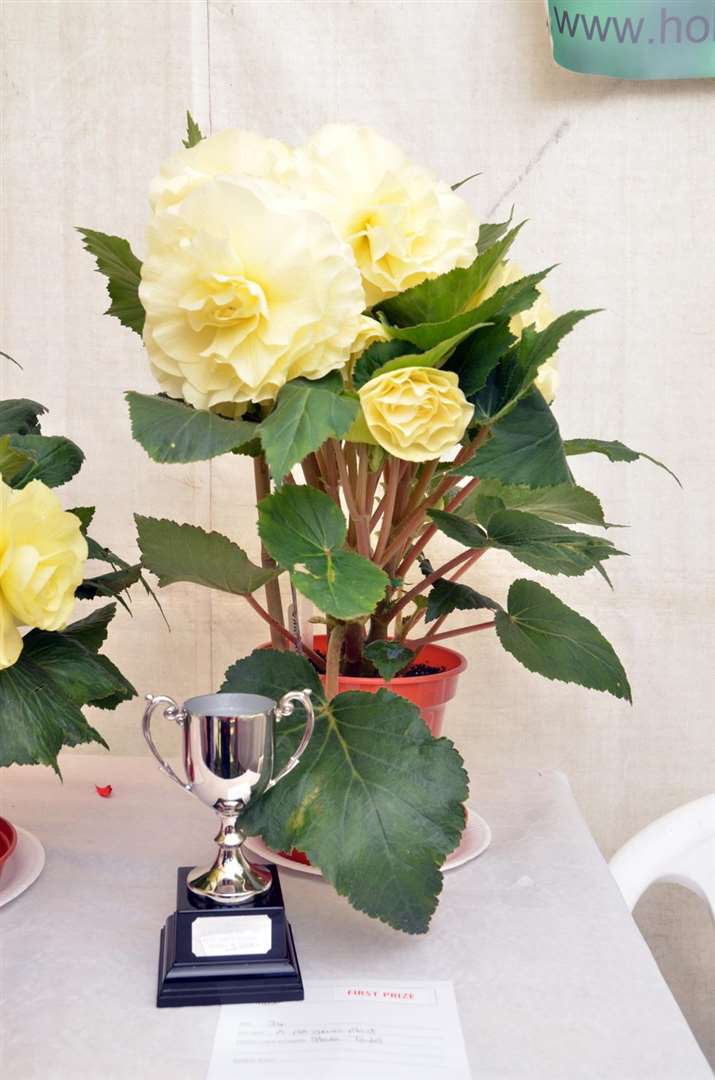 Holbeach Horticultural Society's winning competition entries. Photo: 010718126SG.